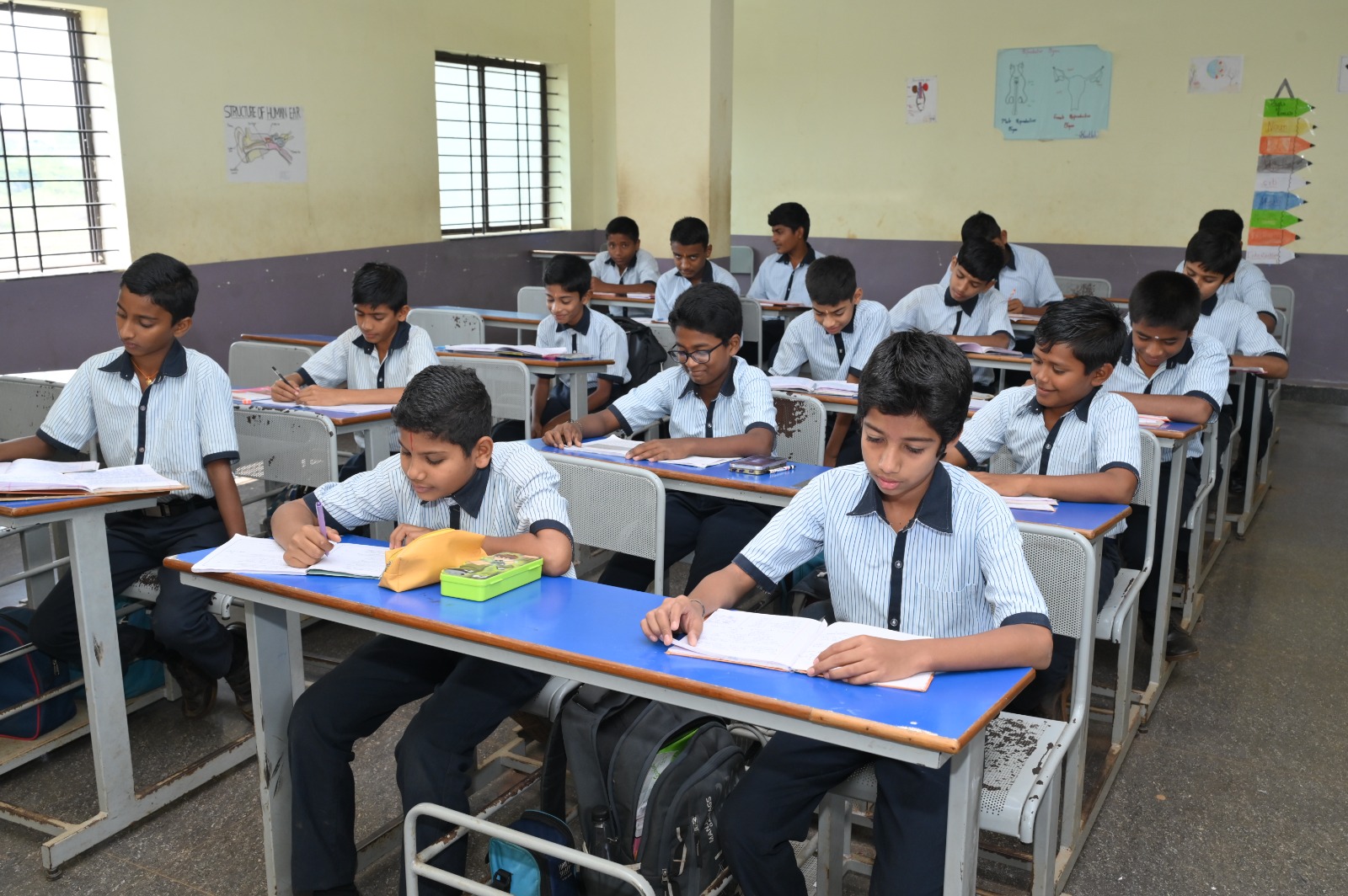 Primary Classroom
